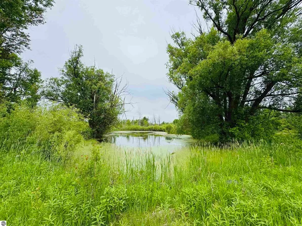 E 12 3/4 Rd, Manton, MI 49663