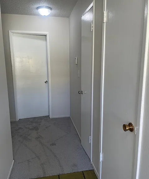 4305 Rilea Way #4 — Photo 12