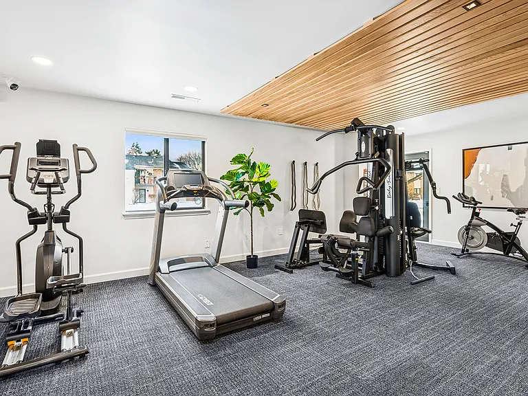 Fully Equipped Fitness Center with Cardio and Weight Machines