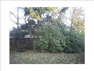 3rd image of 3126 N Fuller Dr