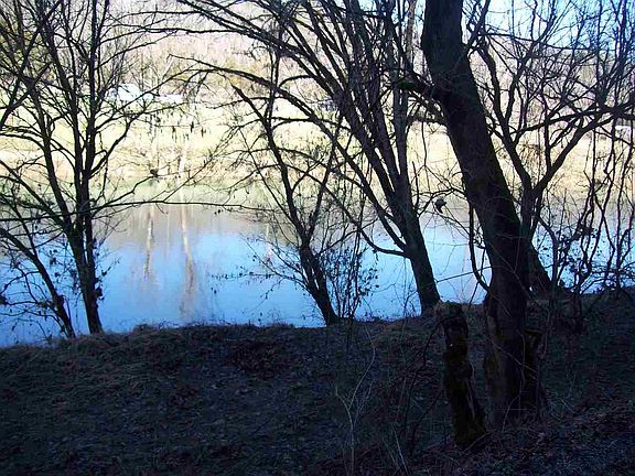 5th image of 984 Clinch River Cir