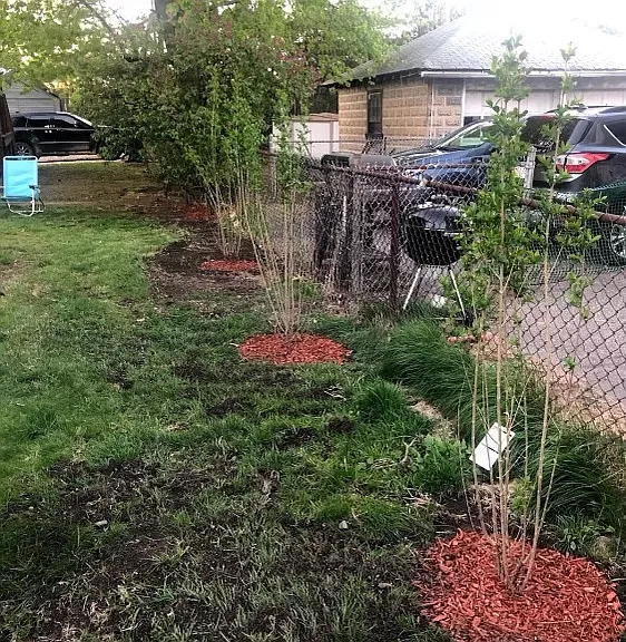 40 Dunbar Ave #1 — Photo 13