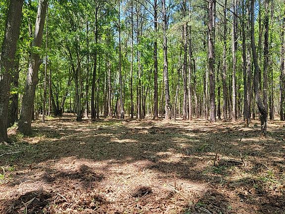 4th image of Merritt Drive Acres #82