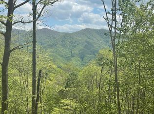 0 Pigeon Creek Rd LOT 3, Bryson City, NC 28713