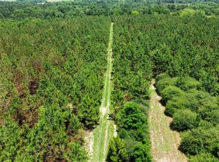 0 N County Road 75 Rd #75, Ashford, AL 36312