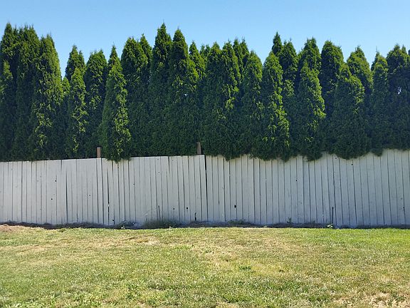 back yard fully fenced