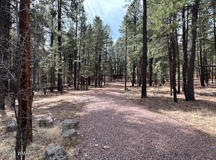 63 County Road 2271, Alpine, AZ 85920