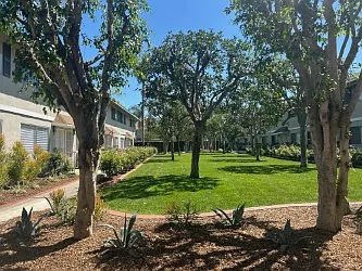 Gilbert Terrace Townhomes — Photo 4