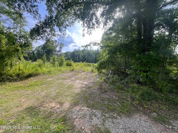 0 Pettey Rd, Forest, MS 39074