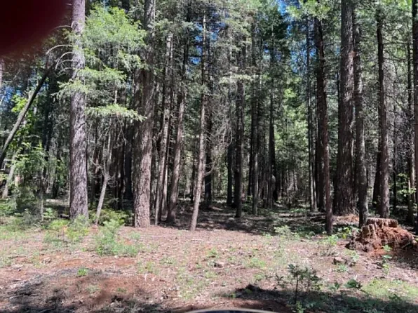 0 Eastwood Way, Shingletown, CA 96088