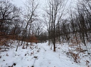 Woodland Dr, Cadillac, MI 49601