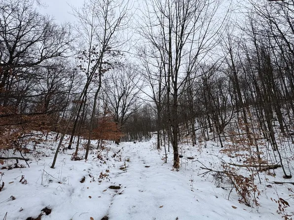 Woodland Dr, Cadillac, MI 49601