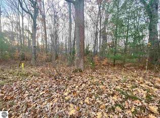 Merritt St, Fife Lake, MI 49633