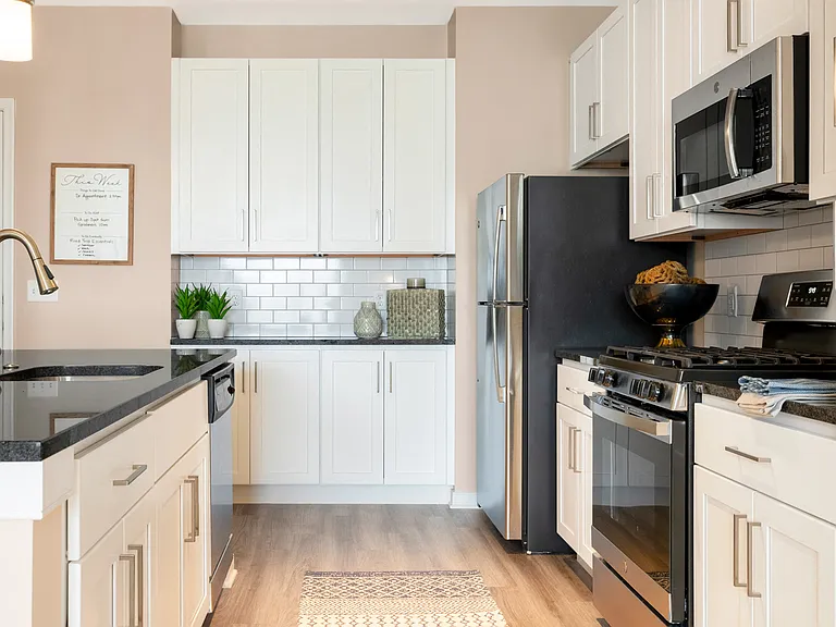 Designer Collection Kitchen