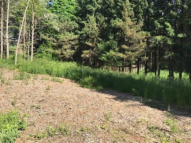 2nd image of 1512 Cranberry Pond Trl