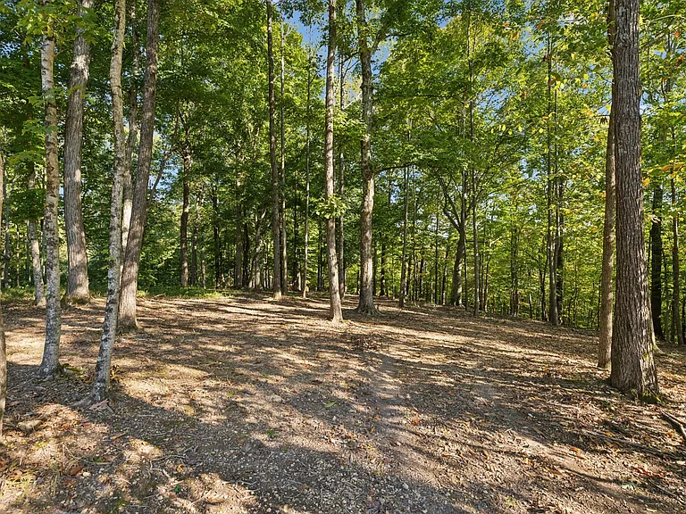 5600 Parker Branch Trl — Photo 63