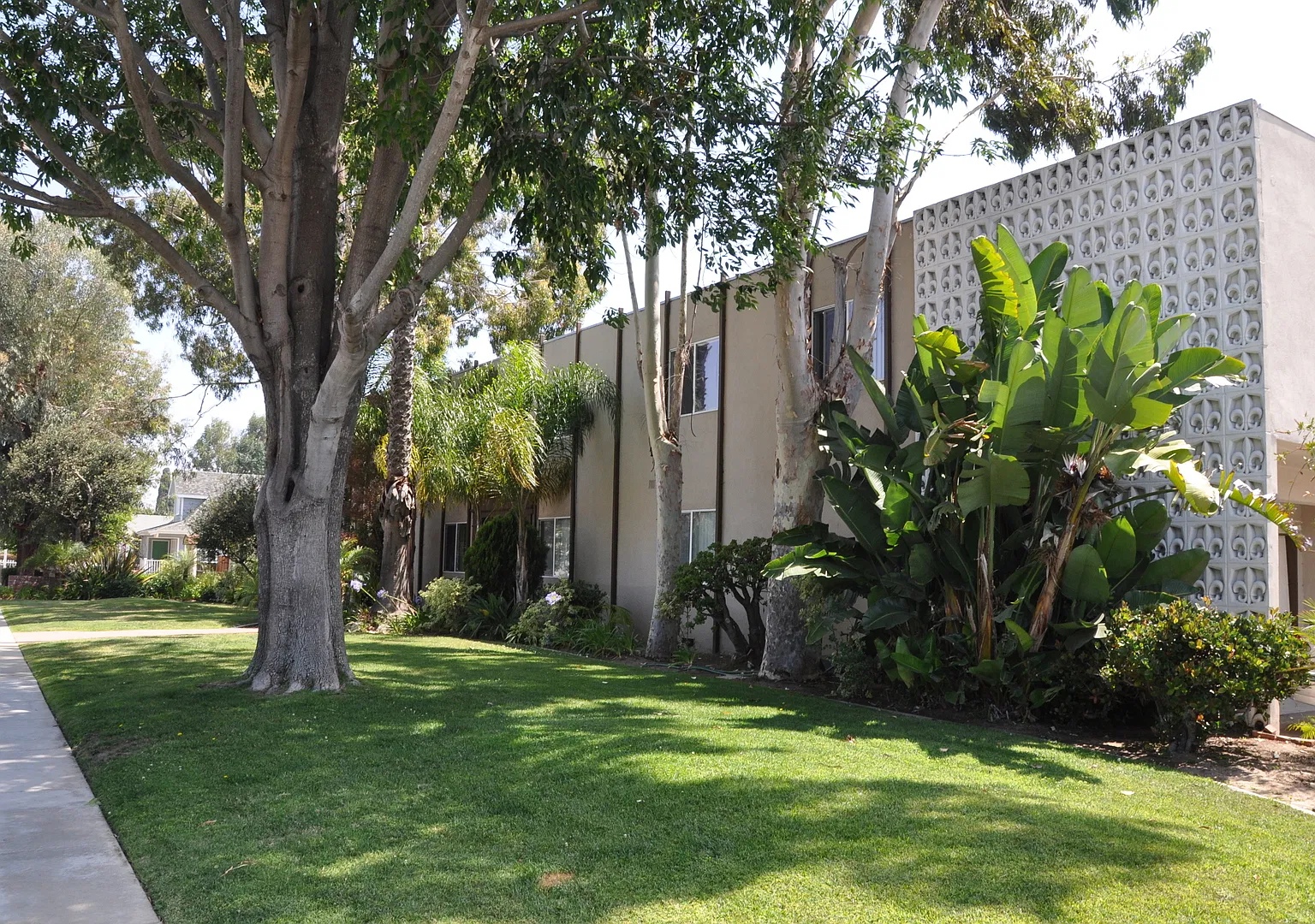 Pinnacle Amapola LLC — Photo 1