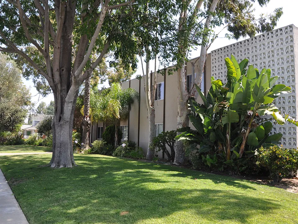 Pinnacle Amapola LLC