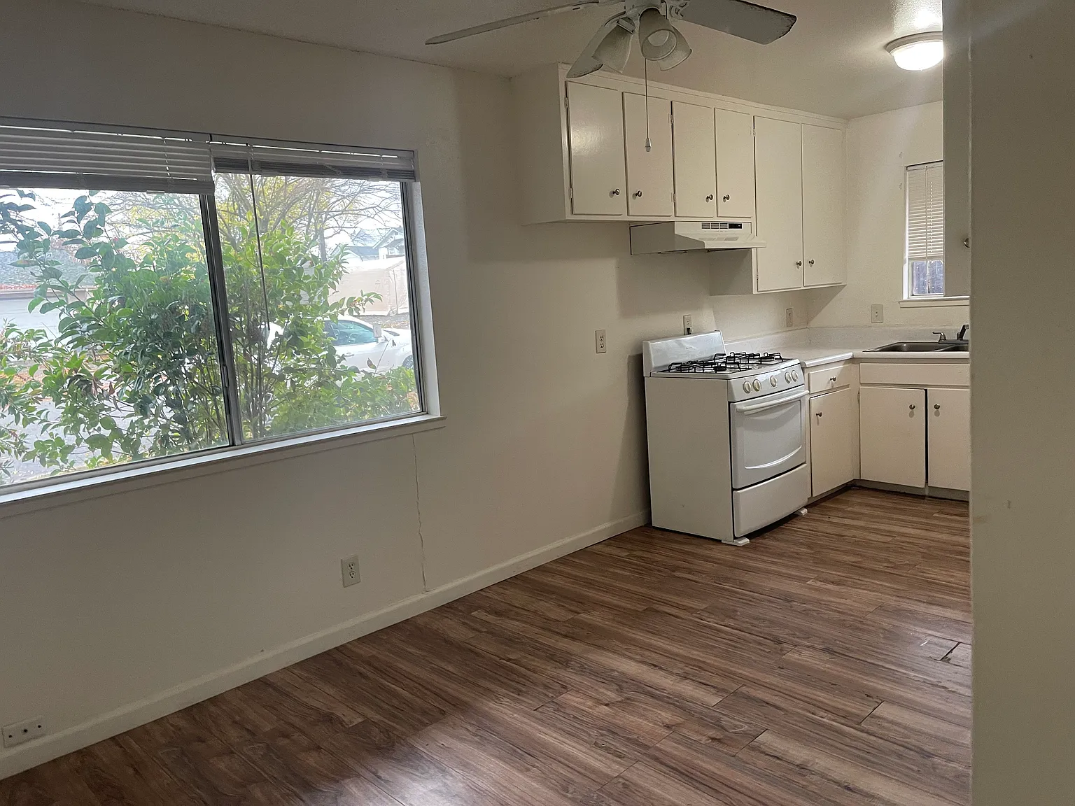 2 bed, $1,250 — Photo 3