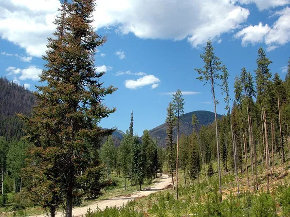 0 Kokopelli Dr #15, Gibbonsville, ID 83463