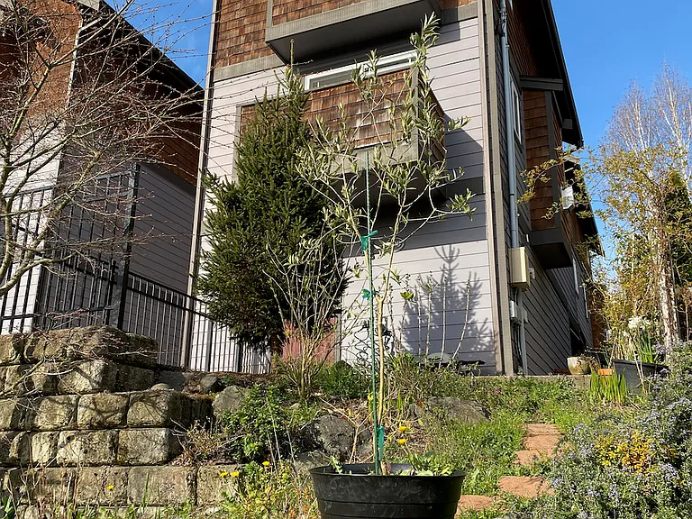 309 27th Ave E #F5 — Photo 15