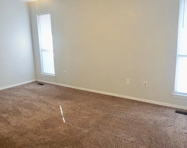 new carpet- ceiling fan