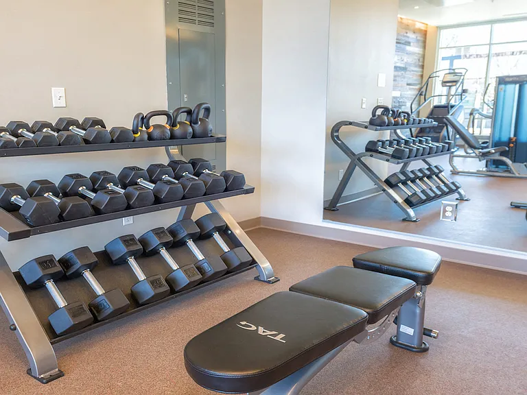 Dumbbell rack and bench for strength training sessions.