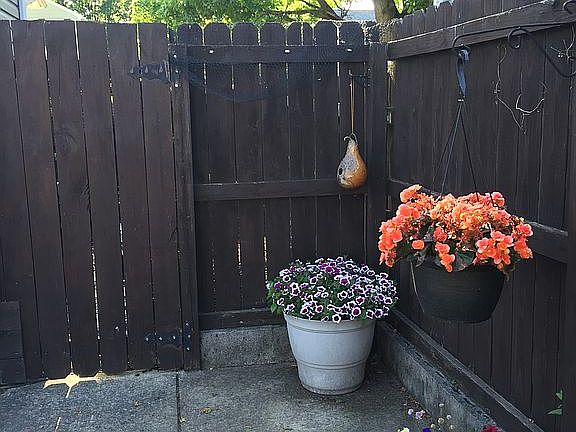 3rd image of 1290 Morning Ave