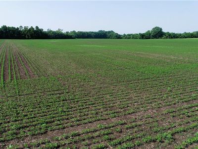 T Hwy, Pattonsburg, MO, 64670