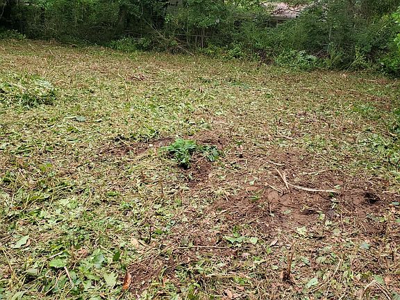 3rd image of 1524 W Robinhood Dr