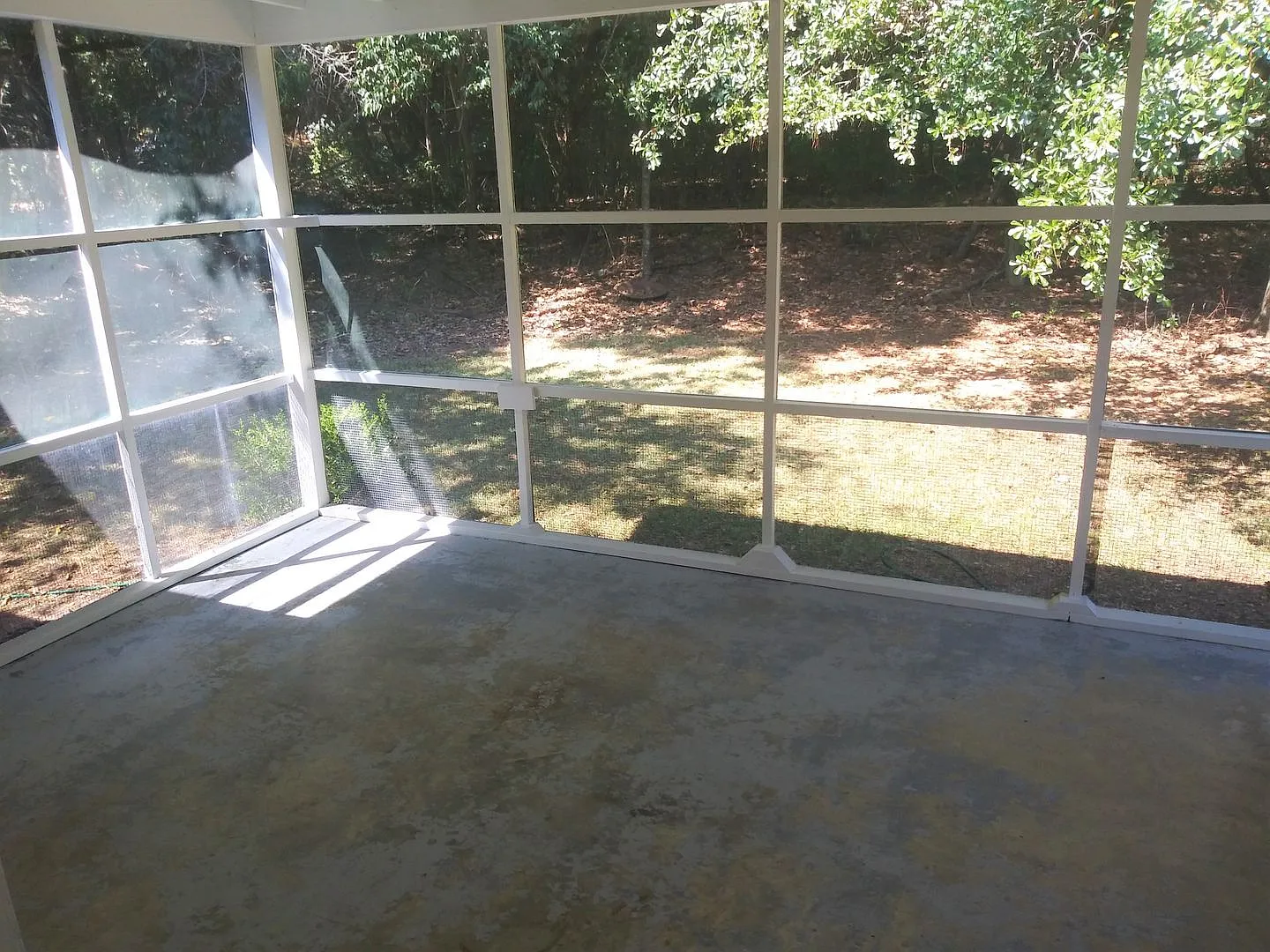3 BR House Walking Distance to FSU! Available Fall 2027 — Photo 3