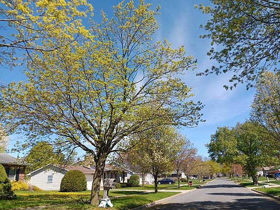 5th image of 508 N Wickshire Ln
