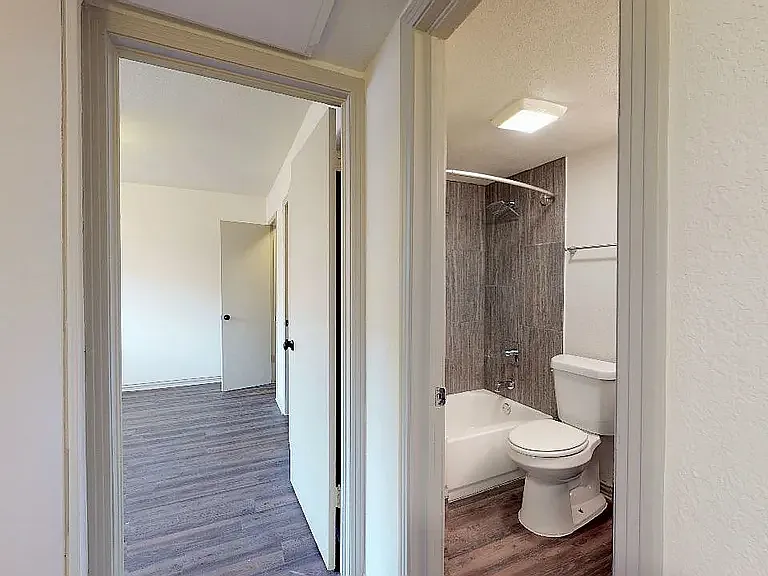 Colony House — Photo 21