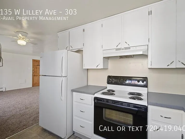 1135 W Lilley Ave #303 — Photo 3