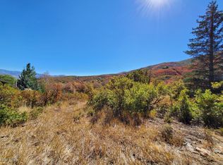 1367 W Neuchatel Cir, Midway, UT 84049