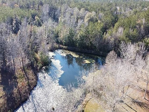 5th image of 2034 County Road 509