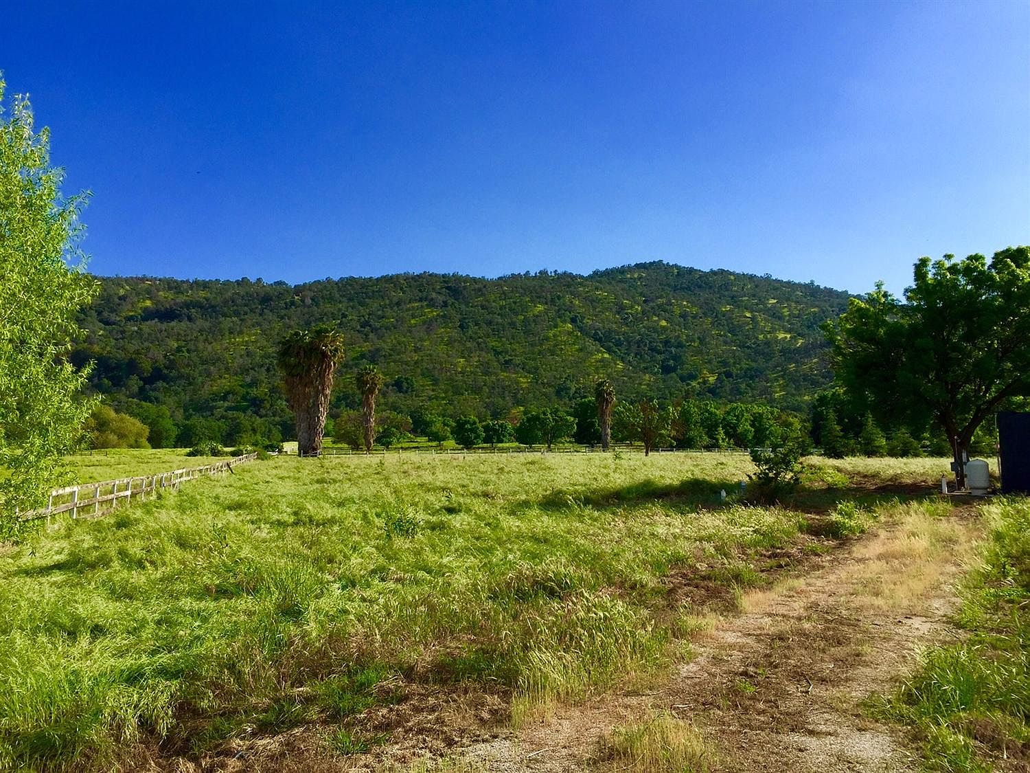 Globe Dr, Springville, CA 93265 Zillow