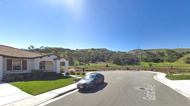 Garlic Ave — Photo 1
