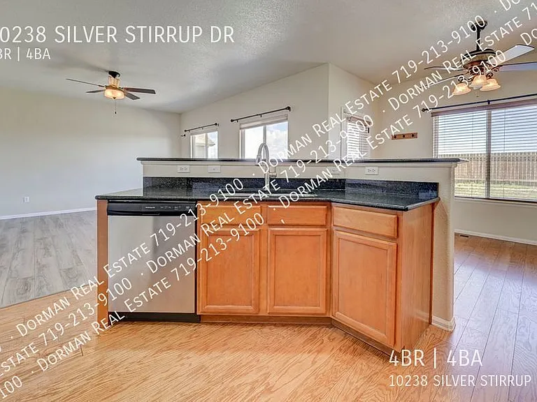 10238 Silver Stirrup Dr — Photo 5