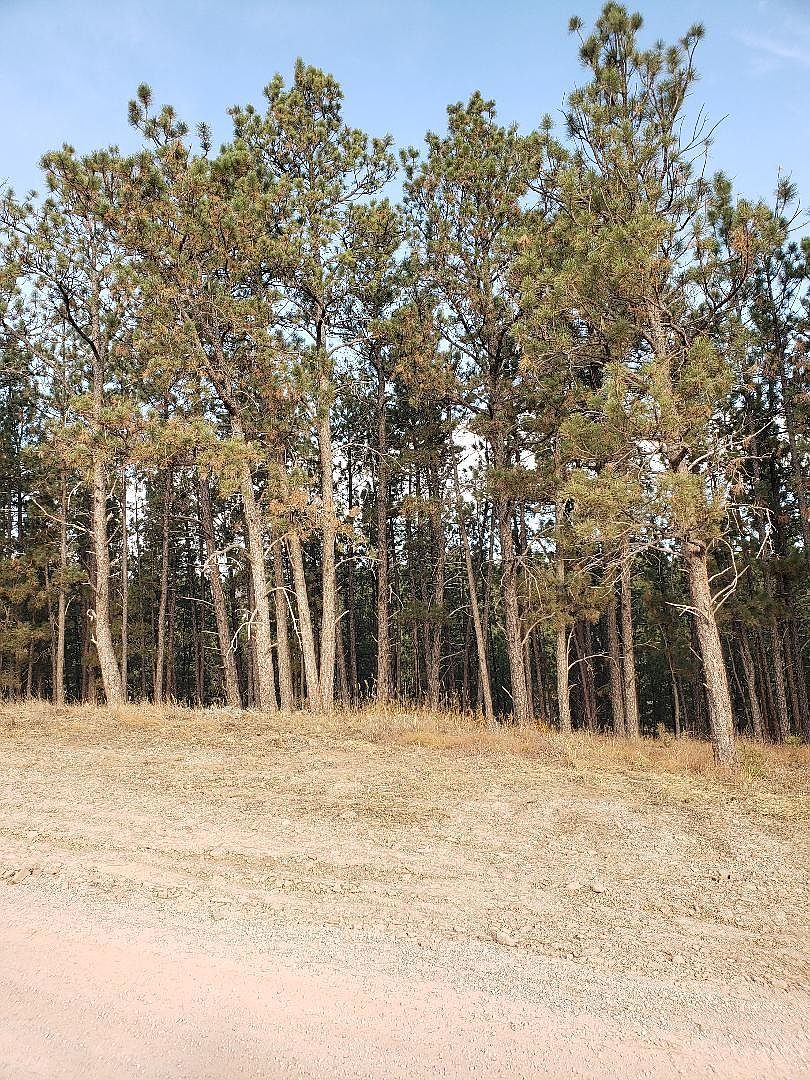 Tbd Crooked Canyon Rd, Hermosa, SD 57744 Zillow