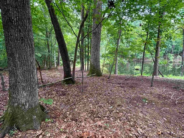 0 Pinewood Dr Parcel B, Chapin, SC 29036