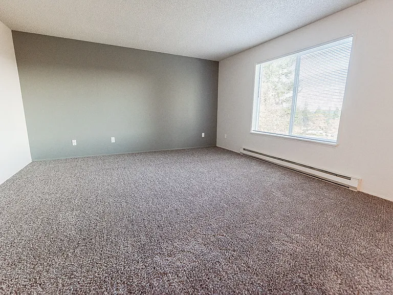 Lakewood Apartments - Arbor Pointe Apartments - Living Room