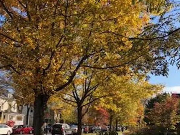 820 Judson Apartments, 820 Judson Ave #F09dde40c, Evanston, IL 60202