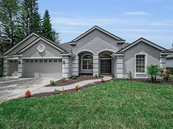 4084 Ligustrum Dr, Palm Harbor, FL 34685