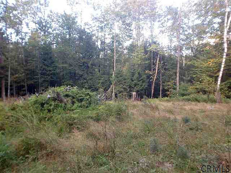 3rd image of 0 DIAMOND POINT Road
