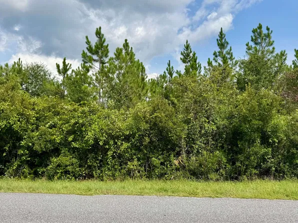 0 County Road 51 N, Jasper, FL 32052