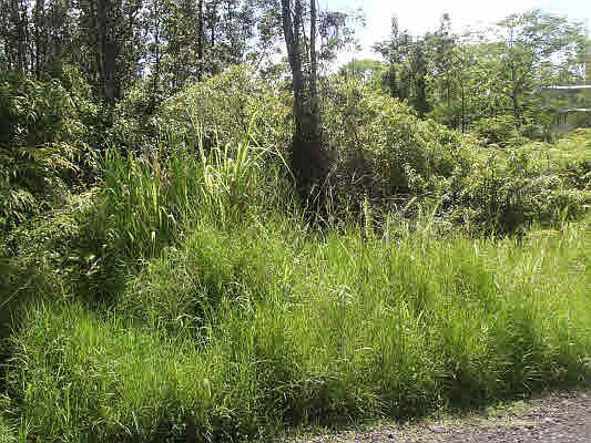 2nd image of 39th Ave Lot 41