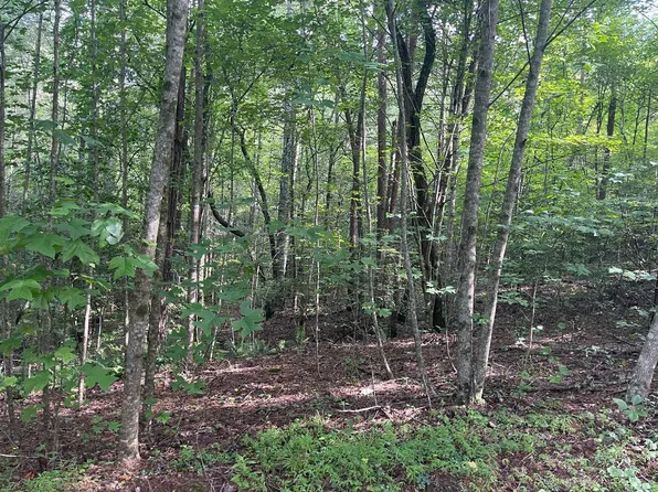 LOT 5 Sherwood Dr, Murphy, NC 28906