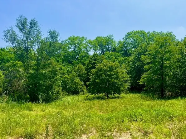 47 Antrim Ct, Poolville, TX 76487