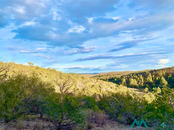 12 Perch Dr, Timberon, NM 88350